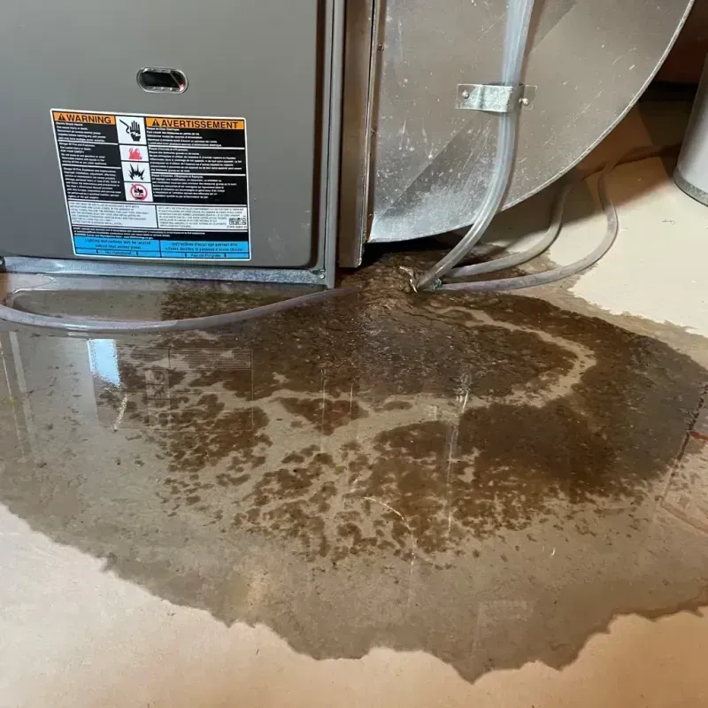 Appliance Leak Cleanup in Vincent, AL